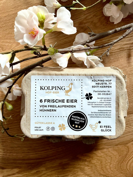 6er PACKUNG EIER
